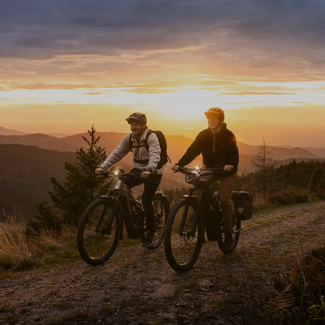 Focus E-Bike SALE