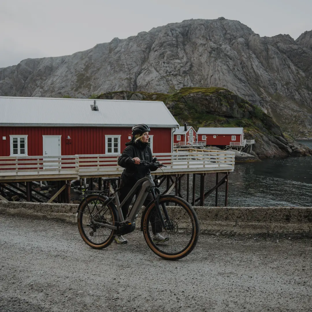 E-Trekkingbike SALE