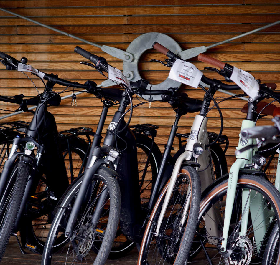 Bicicletas en la tienda de outlet