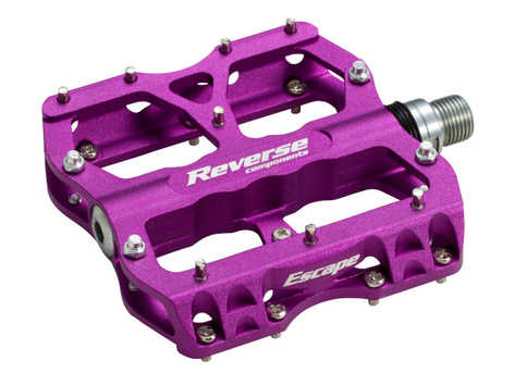 morado