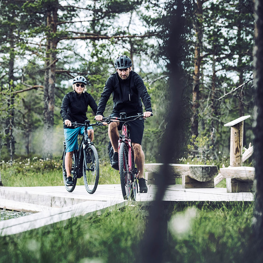 E-MTB Hardtail